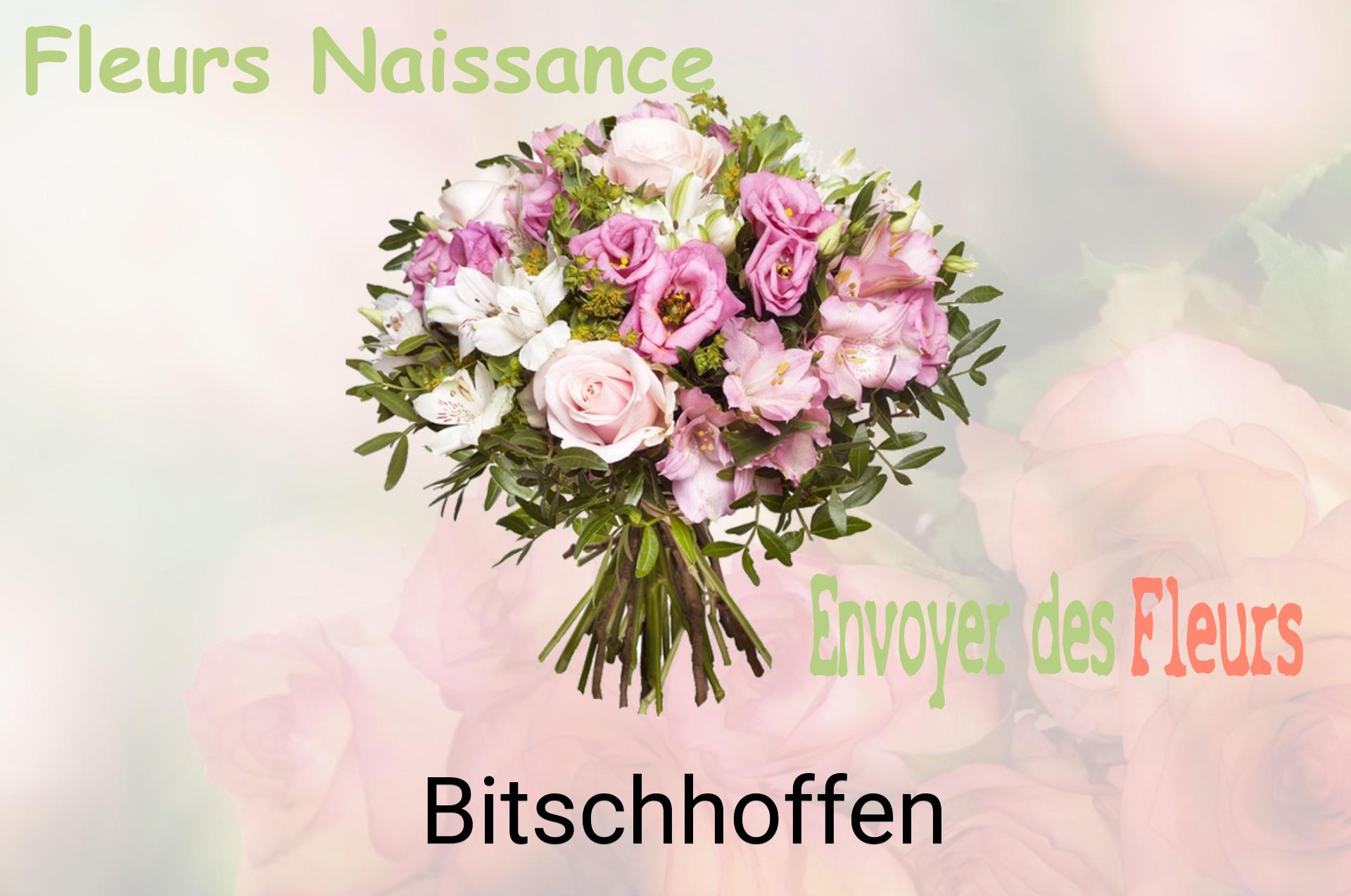 Bouquet de fleurs de naissance livré à Bitschhoffen